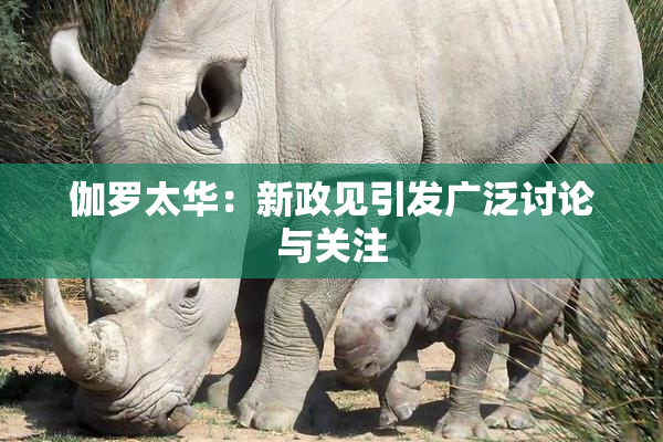 伽罗太华：新政见引发广泛讨论与关注