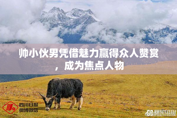 帅小伙男凭借魅力赢得众人赞赏，成为焦点人物