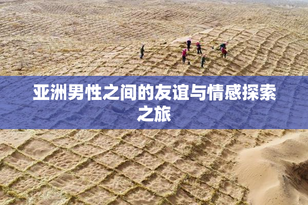 亚洲男性之间的友谊与情感探索之旅