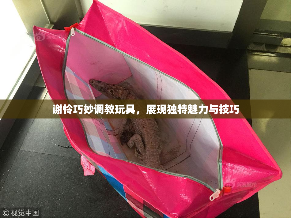 谢怜巧妙调教玩具，展现独特魅力与技巧