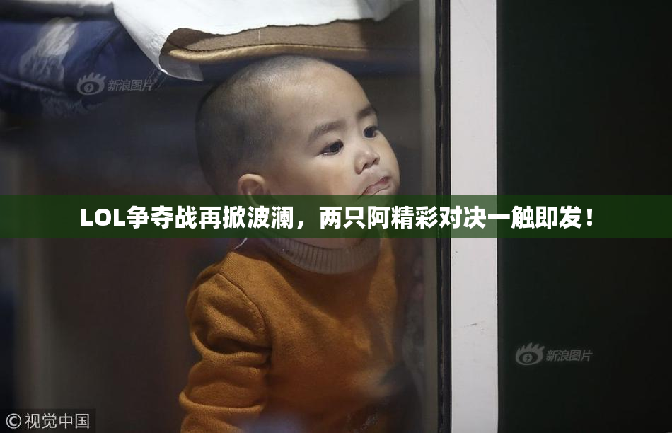 LOL争夺战再掀波澜，两只阿精彩对决一触即发！