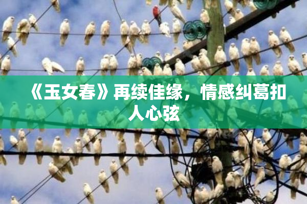 《玉女春》再续佳缘，情感纠葛扣人心弦