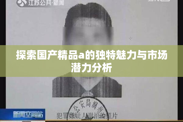 探索国产精品a的独特魅力与市场潜力分析