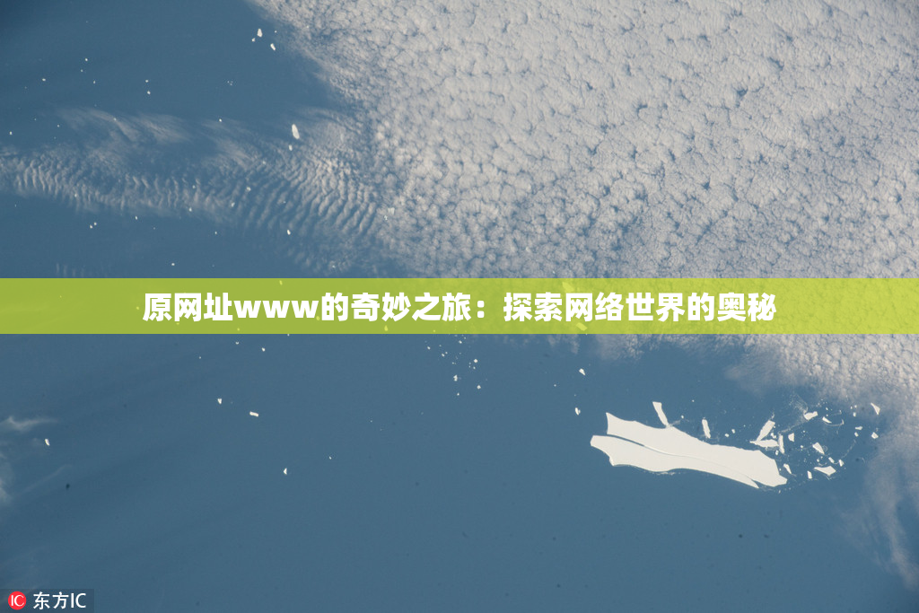 原网址www的奇妙之旅：探索网络世界的奥秘