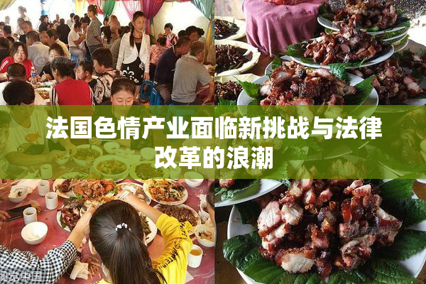 法国色情产业面临新挑战与法律改革的浪潮