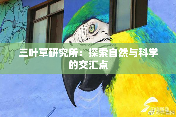 三叶草研究所：探索自然与科学的交汇点