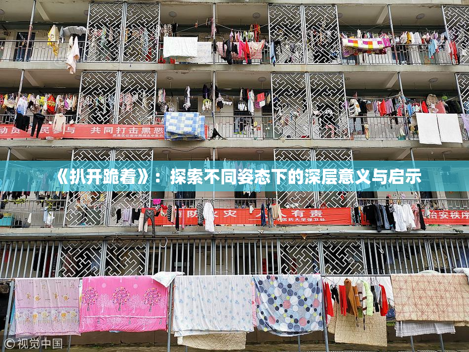《扒开跪着》：探索不同姿态下的深层意义与启示