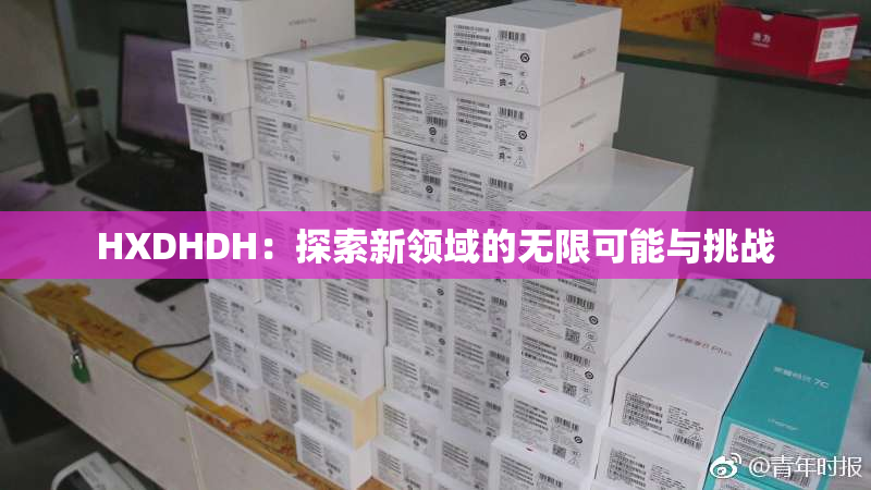 HXDHDH：探索新领域的无限可能与挑战