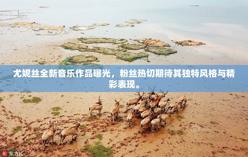 尤妮丝全新音乐作品曝光，粉丝热切期待其独特风格与精彩表现。