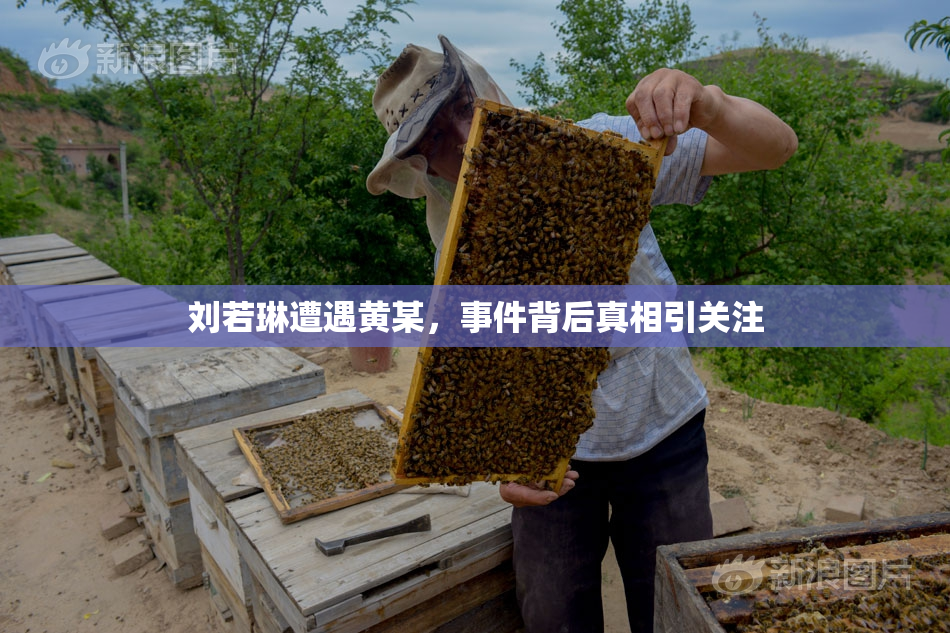 刘若琳遭遇黄某，事件背后真相引关注