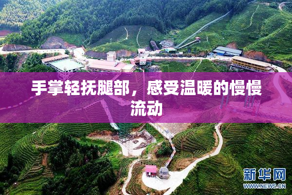手掌轻抚腿部，感受温暖的慢慢流动