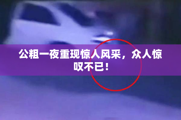 公粗一夜重现惊人风采，众人惊叹不已！