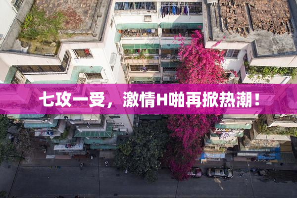 七攻一受，激情H啪再掀热潮！
