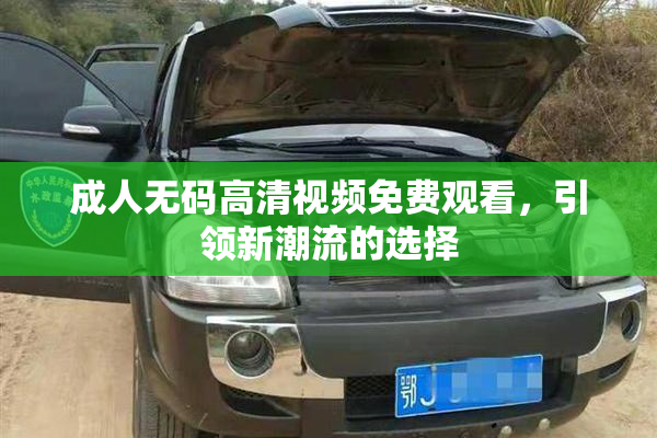 成人无码高清视频免费观看，引领新潮流的选择