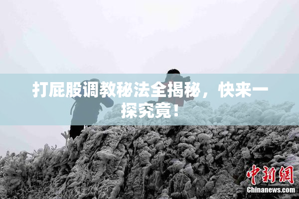 打屁股调教秘法全揭秘，快来一探究竟！