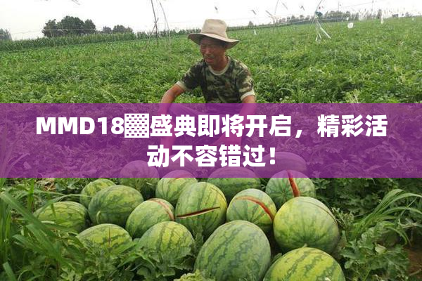 MMD18▓盛典即将开启，精彩活动不容错过！