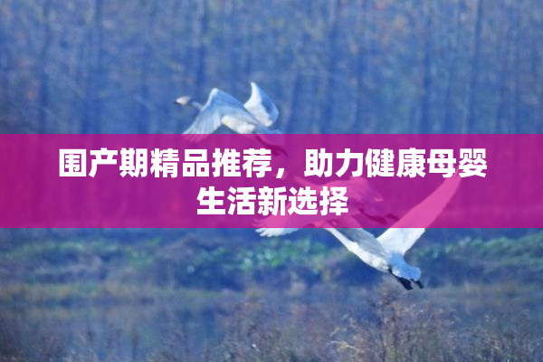 围产期精品推荐，助力健康母婴生活新选择