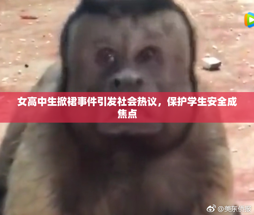 女高中生掀裙事件引发社会热议，保护学生安全成焦点