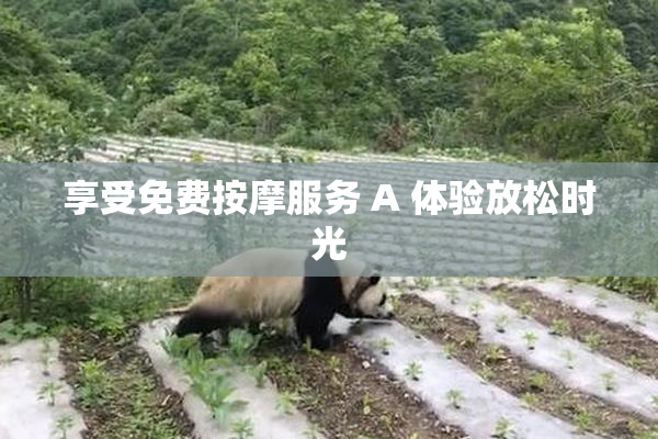 享受免费按摩服务 A 体验放松时光