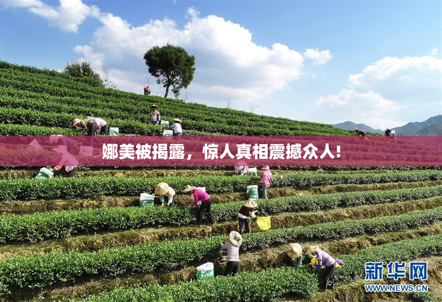 娜美被揭露，惊人真相震撼众人!