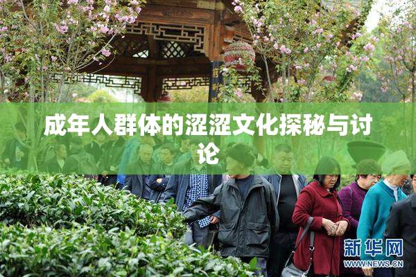 成年人群体的涩涩文化探秘与讨论
