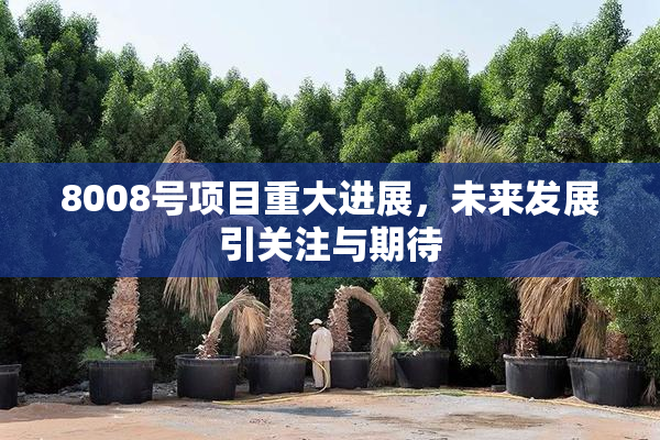8008号项目重大进展，未来发展引关注与期待