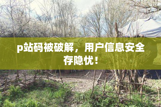 p站码被破解，用户信息安全存隐忧！
