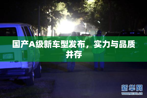 国产A级新车型发布，实力与品质并存
