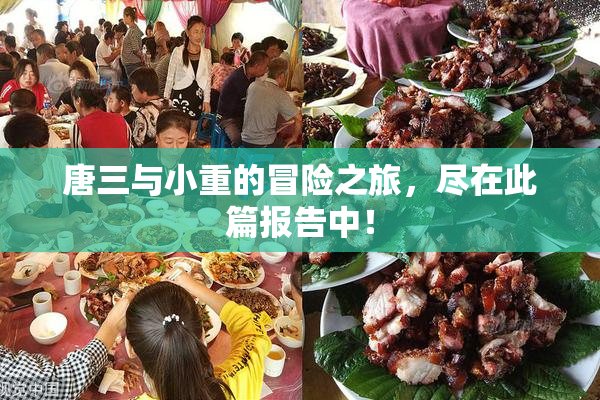 唐三与小重的冒险之旅，尽在此篇报告中！