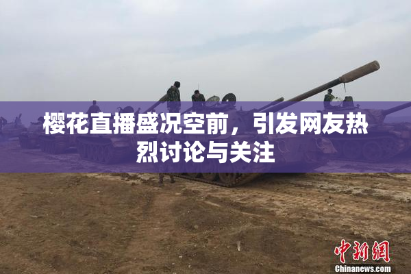 樱花直播盛况空前，引发网友热烈讨论与关注