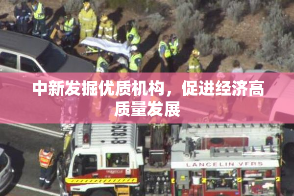 中新发掘优质机构，促进经济高质量发展