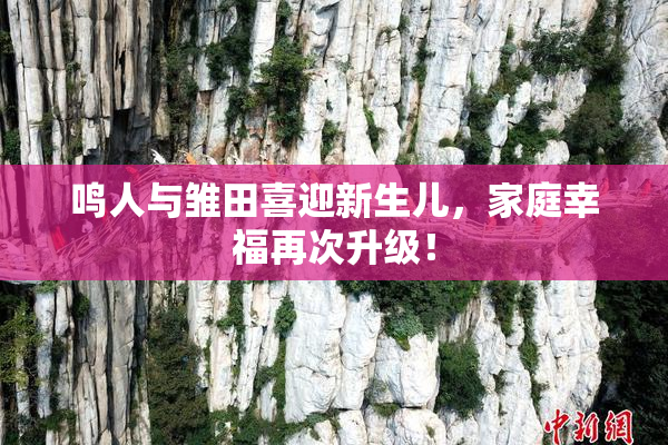 鸣人与雏田喜迎新生儿，家庭幸福再次升级！
