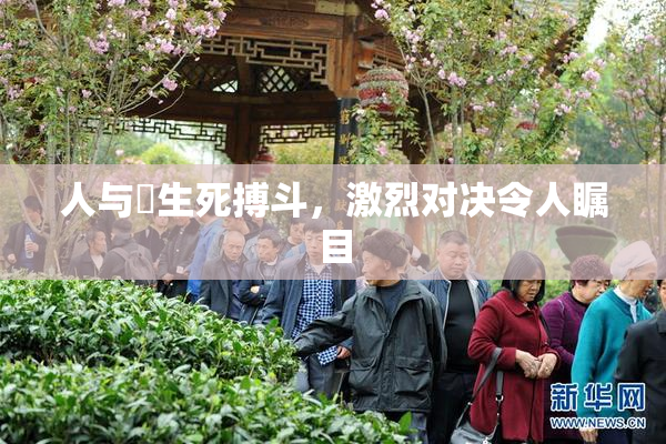 人与嘼生死搏斗，激烈对决令人瞩目