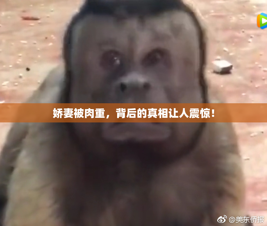 娇妻被肉重，背后的真相让人震惊！