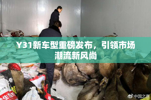 Y31新车型重磅发布，引领市场潮流新风尚