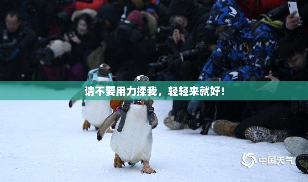 请不要用力揉我，轻轻来就好！