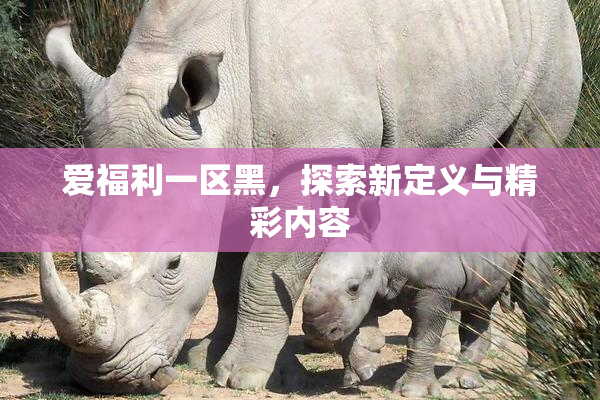 爱福利一区黑，探索新定义与精彩内容