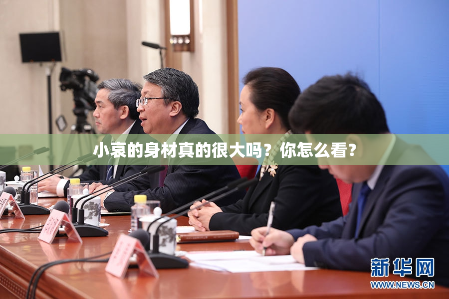 小哀的身材真的很大吗？你怎么看？