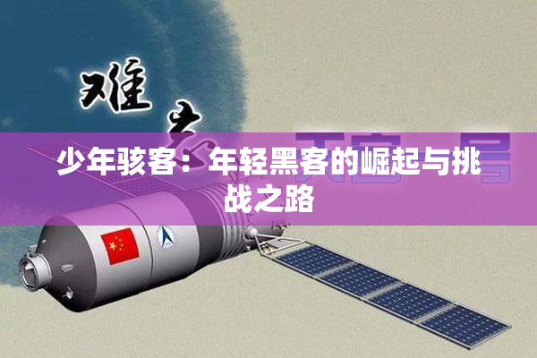 少年骇客：年轻黑客的崛起与挑战之路