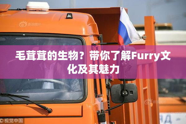 毛茸茸的生物？带你了解Furry文化及其魅力