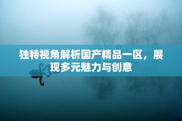 独特视角解析国产精品一区，展现多元魅力与创意
