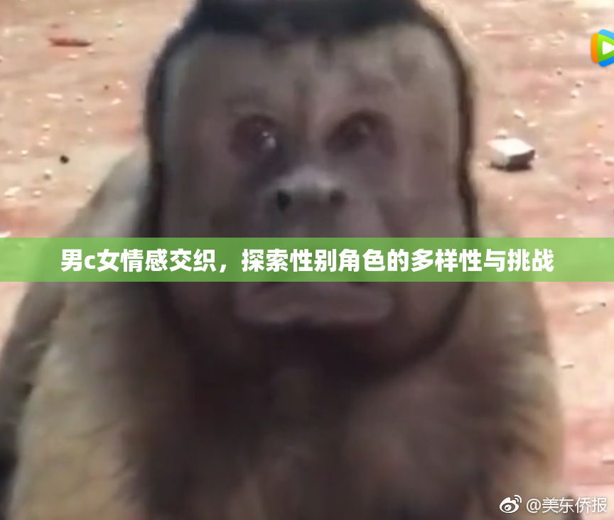 男c女情感交织，探索性别角色的多样性与挑战