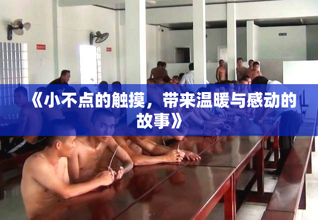 《小不点的触摸，带来温暖与感动的故事》