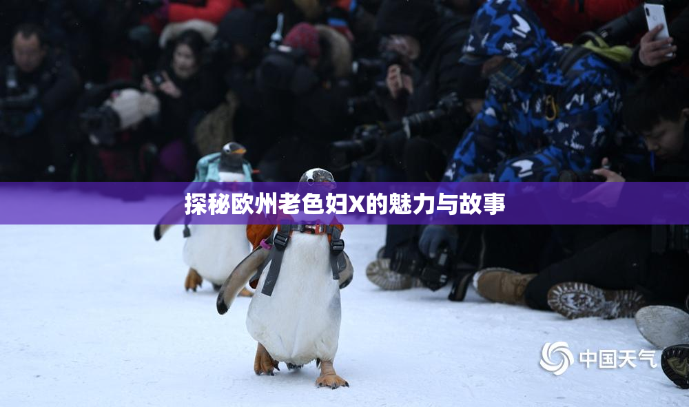 探秘欧州老色妇X的魅力与故事