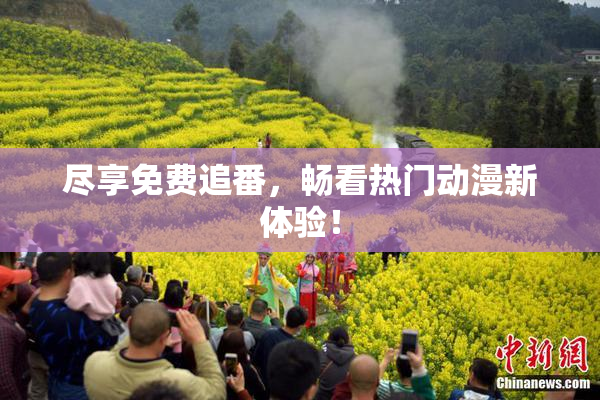 尽享免费追番，畅看热门动漫新体验！