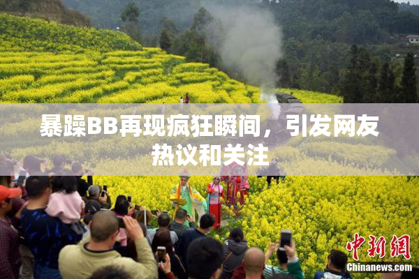 暴躁BB再现疯狂瞬间，引发网友热议和关注