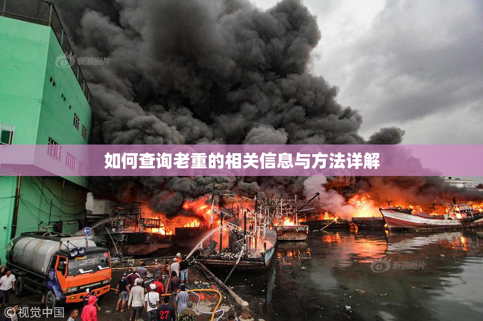 如何查询老重的相关信息与方法详解