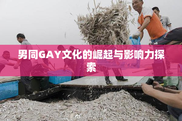 男同GAY文化的崛起与影响力探索