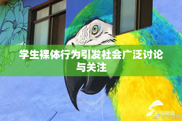 学生裸体行为引发社会广泛讨论与关注