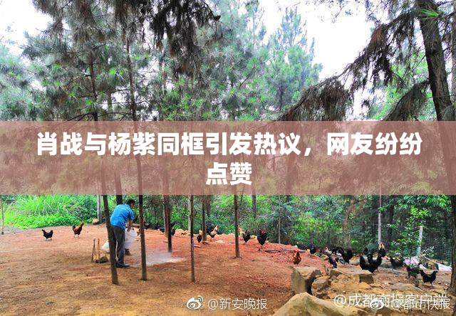 肖战与杨紫同框引发热议，网友纷纷点赞
